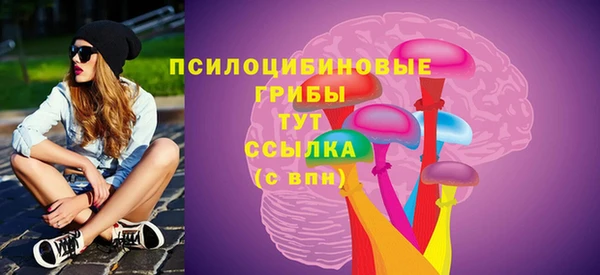 винт Арсеньев
