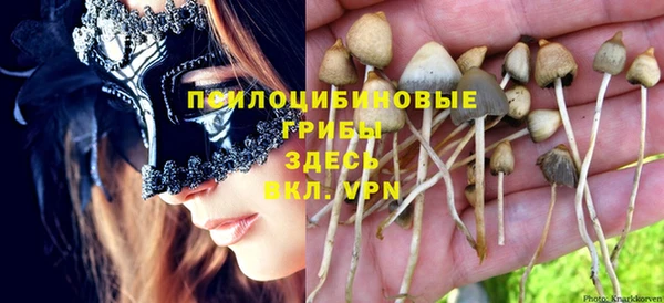 винт Арсеньев